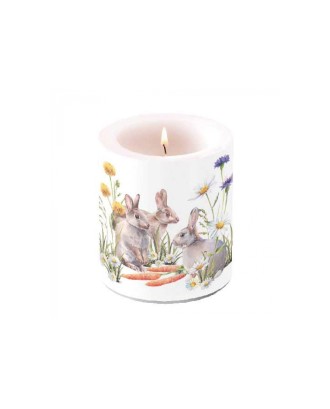Lumanare decorativa, 9 cm, Carrot Treat - AMBIENTE